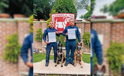 Unidad canina que lucha contra el crimen