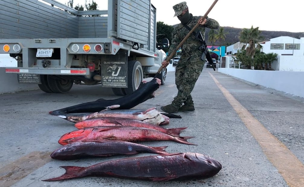 La embarcación se encontraba dentro del
polígono del Área Natural Protegida correspondiente a la Reserva de la Biosfera Islas Marías, Nayarit. Foto: especial