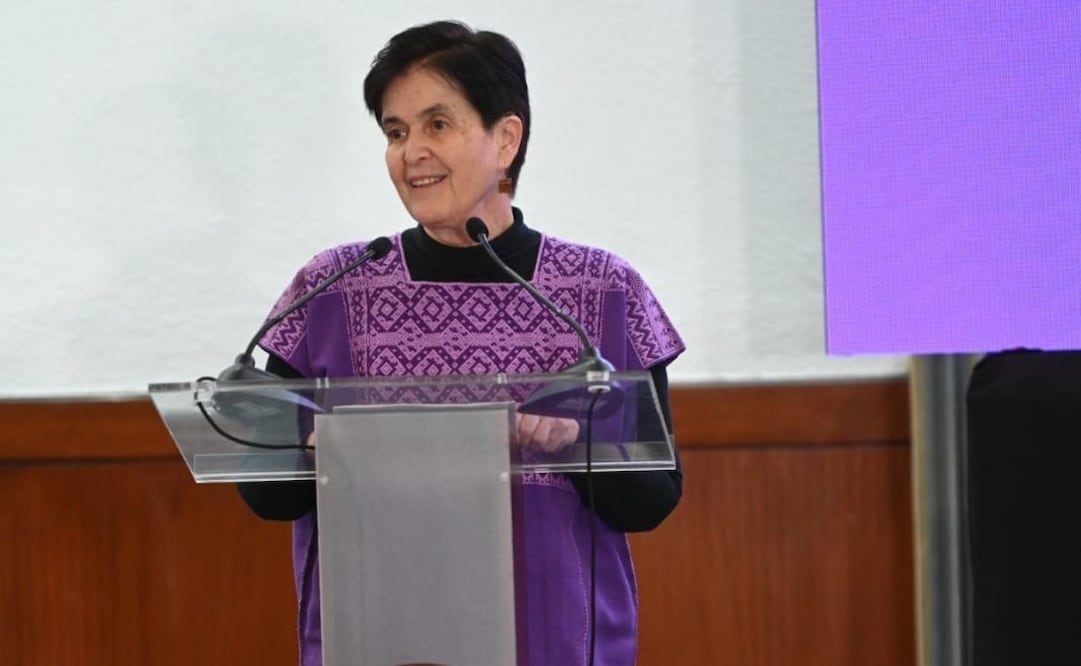 Ya hay una causa registrada formalmente, aseguró la presidenta del organismo, Dolores Gonzales Saravia. | Foto: Especial.
