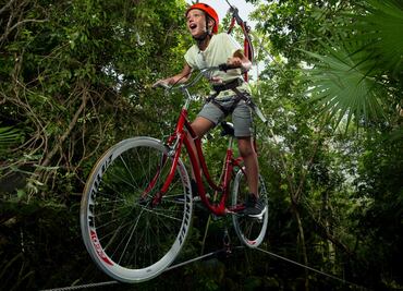 9 aperturas y exposiciones en México que esperamos para 2019