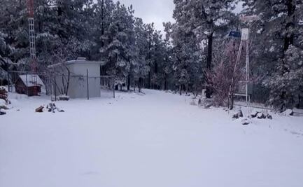 En plena primavera, nieve y aguanieve "pintan de blanco" diversos municipios de Chihuahua; no se reportan lesionados o fallecidos por las bajas temperaturas
