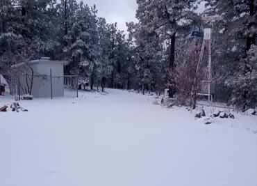 En plena primavera, nieve y aguanieve "pintan de blanco" diversos municipios de Chihuahua; no se reportan lesionados o fallecidos por las bajas temperaturas