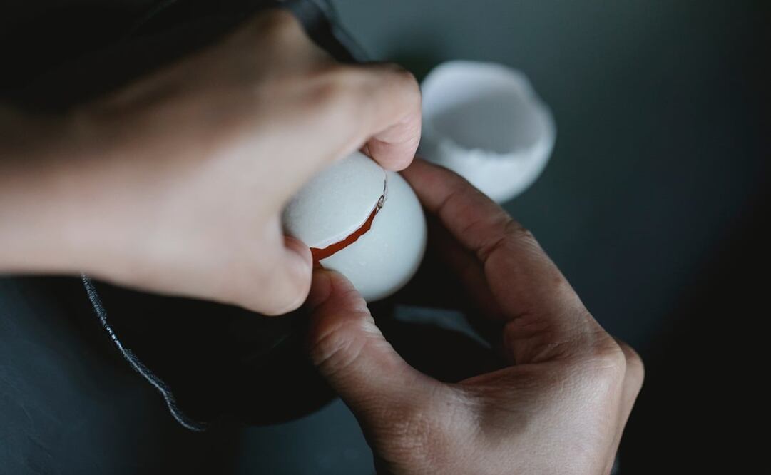 Foto: Klaus Nielsen / Pexels