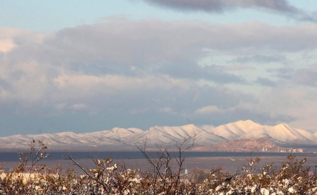 Foto: Archivo/ Cuartoscuro