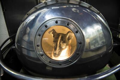 Hace 60 años, la perrita Laika viajó al espacio y ya no volvió
