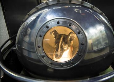 Hace 60 años, la perrita Laika viajó al espacio y ya no volvió