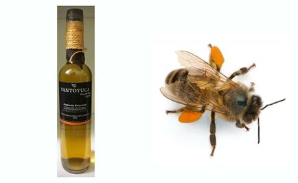 En Veracruz se elabora un vino de miel. Conócelo