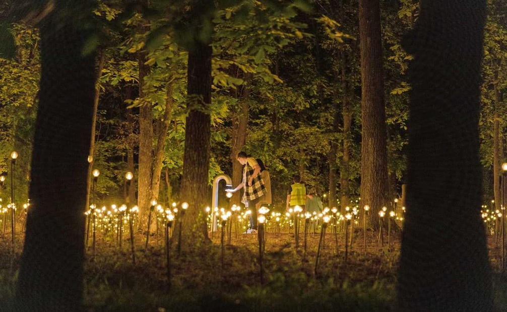 Jardín inconcluso, una exposición nocturna de instalaciones lumínicas y sonoras de Rafael Lozano-Hemmer, en el Museo de Arte Moderno. Foto: Edward Robinson