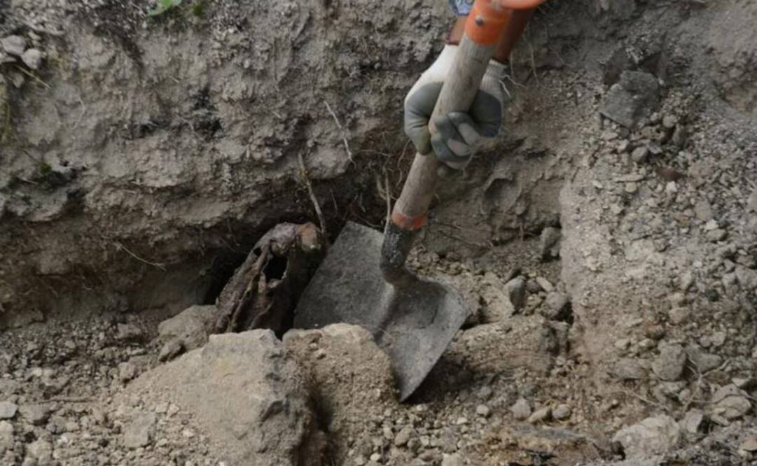 Foto: Archivo EL UNIVERSAL