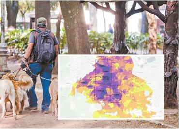 Mapa: Gente de Polanco, Condesa y Nápoles, con mayor nivel de estudios