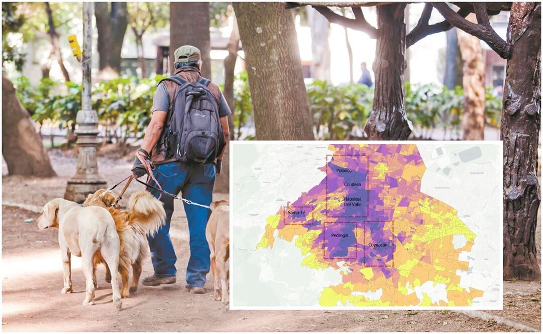 Mapa: Gente de Polanco, Condesa y Nápoles, con mayor nivel de estudios