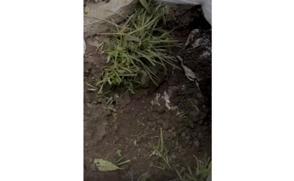 Descubren fosa clandestina en Silao, Guanajuato.
Foto: Especial.