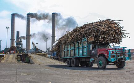 Azúcar mexicana podrá venderse a EU sin aranceles hasta 2025: Cámara azucarera