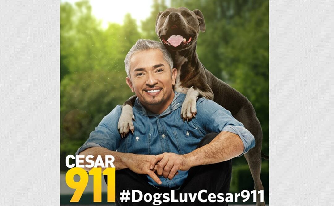 Investigan a César Millán por supuesto maltrato animal