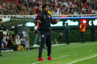 Cardozo no culpa a Galindo Jr