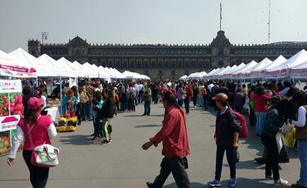Ofrecen alimentos del campo capitalino en el Zócalo