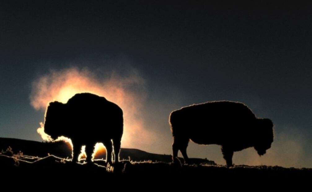 Art Wolfe, el fotógrafo de la naturaleza que espera que sus imágenes te hagan sentir mejor durante la pandemia
