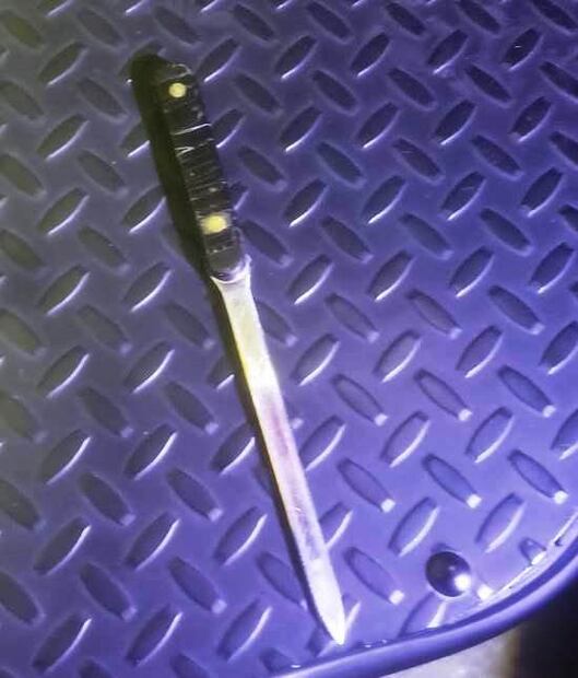 FOTO: Especial/ EL UNIVERSAL/