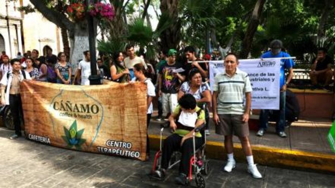 Marchan en Mérida a favor del cultivo de la marihuana