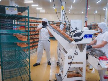 La inversión privada en Sinaloa aumenta 15% en el gobierno de Rocha Moya; suman 114 mil 772 mdp