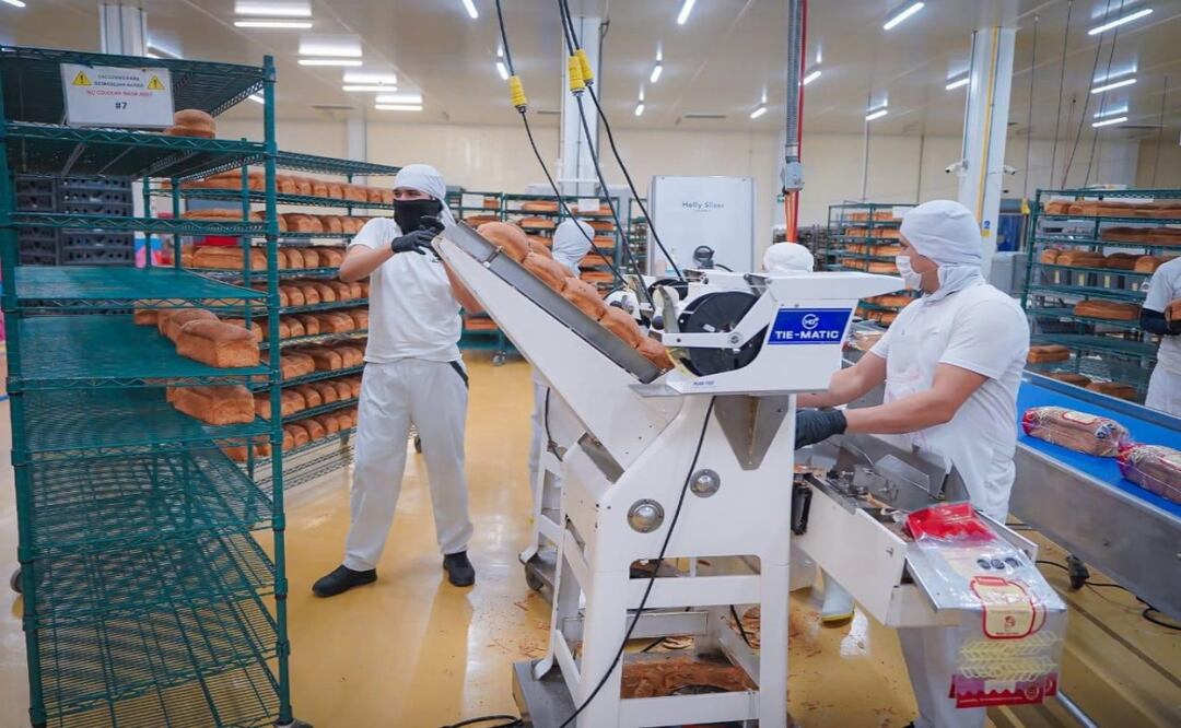 Sinaloa consolida crecimiento económico con más de 114 mil mdp en inversión privada. Foto: Especial