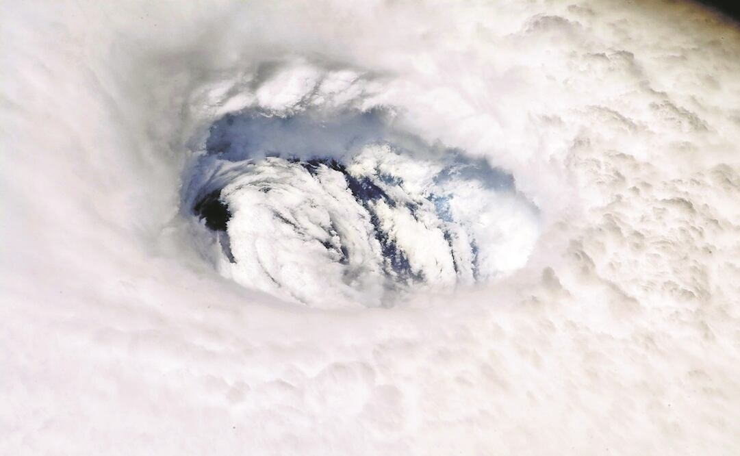 Foto: Archivo/EL UNIVERSAL.