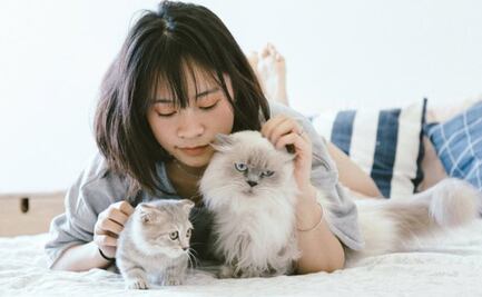 ¿Sientes un amor desmedido por tu mascota? ¡Aguas! puedes padecer petofilia