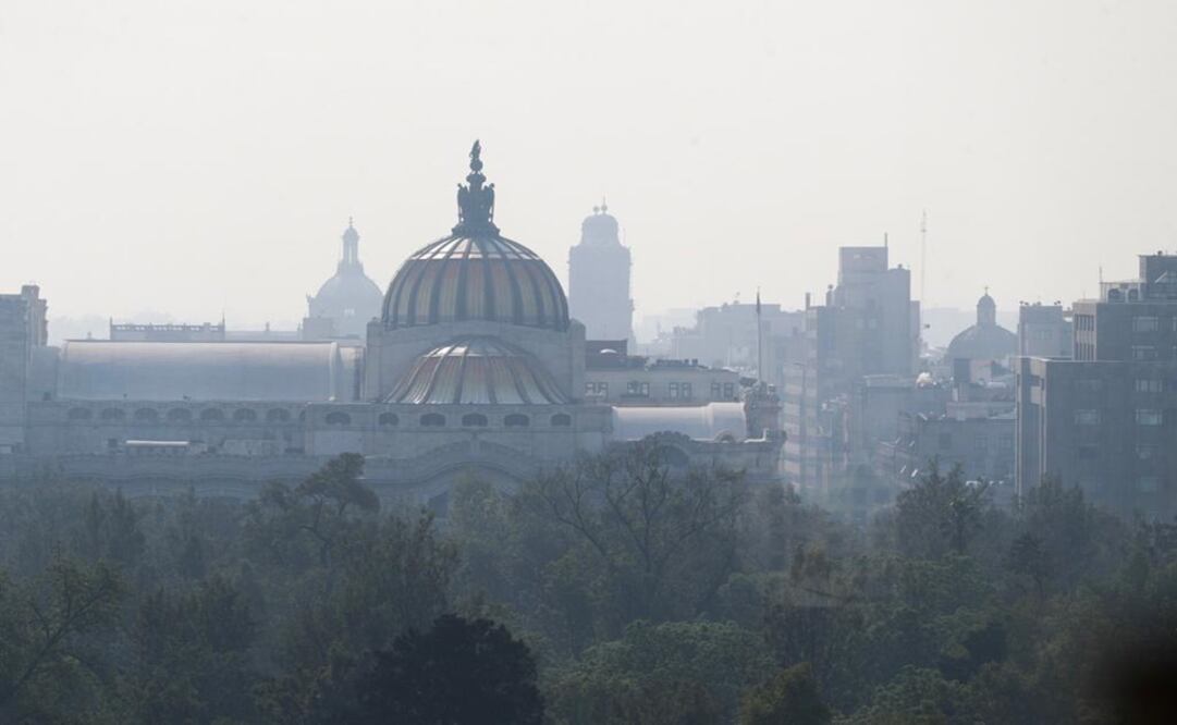 Foto: Diego Simón Sánchez/EL UNIVERSAL