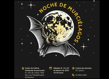 ¿Sin plan para este fin de semana?; Sedema te invita al recorrido "Noches de murciélagos" en la alcaldía Xochimilco