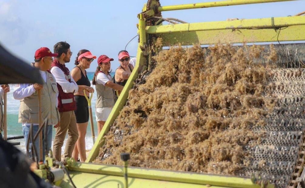 Cancún combate el sargazo con estrategia; destaca frente a otros destinos del Caribe. Foto: Especial