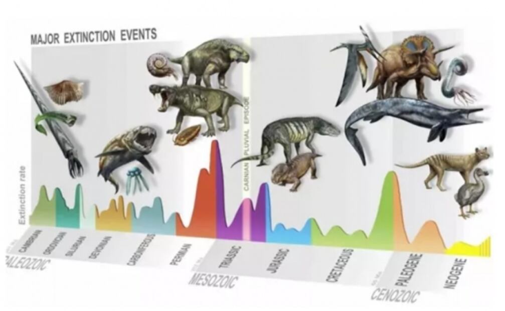 Extinción de hace 233 millones de años dio paso al reinado de los dinosaurios