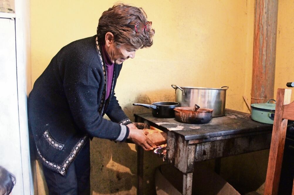 Teresa y su familia requieren de la leña para cocinar; la carga de una camioneta le cuesta entre 250 y 300 pesos, y explican que les dura unos 15 días (FRANCISCO RODRÍGUEZ. EL UNIVERSAL)
