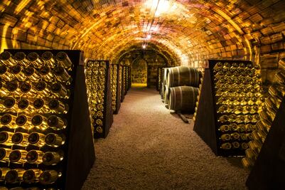 ¿Qué hacer en la tierra de la champaña?