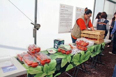 Huertos en DF producen 94 toneladas