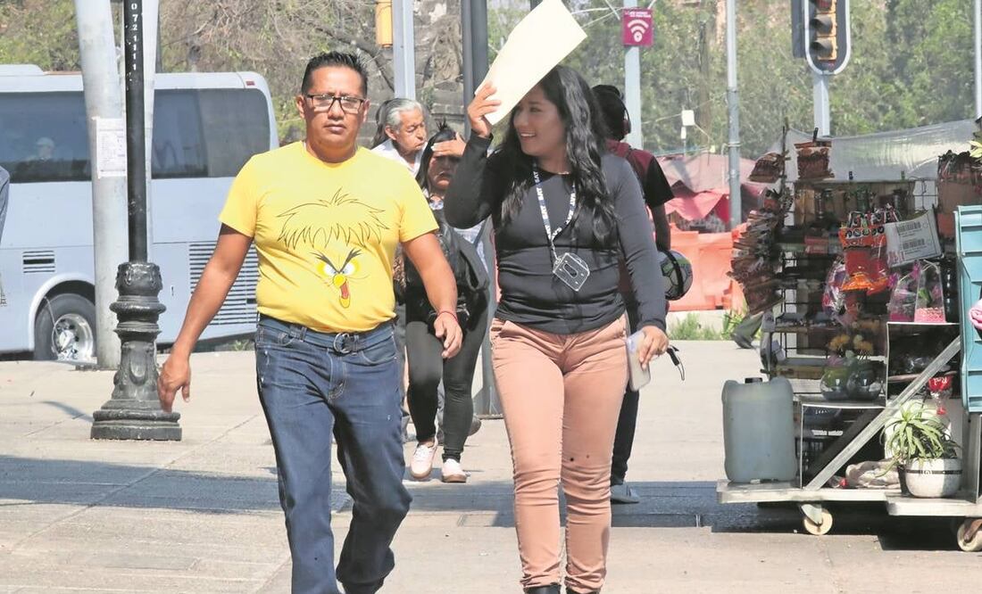 Se tienen contemplados pronósticos de tiempo severo por fuertes vientos en gran parte de la Ciudad de México Foto: Francisco Rodriguez/ El UNIVERSAL
