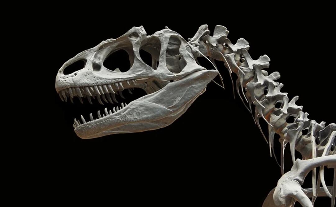 Foto: Ilustrativa. Pixabay 