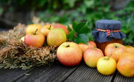 ¿Qué pasa si diario comes una manzana en ayunas?