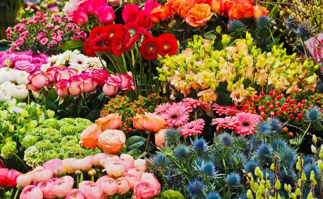 Cientos de especies de flores y plantas te esperan en 5 de los mejores mercados de la Alcaldía Xochimilco. Foto: Pixabay