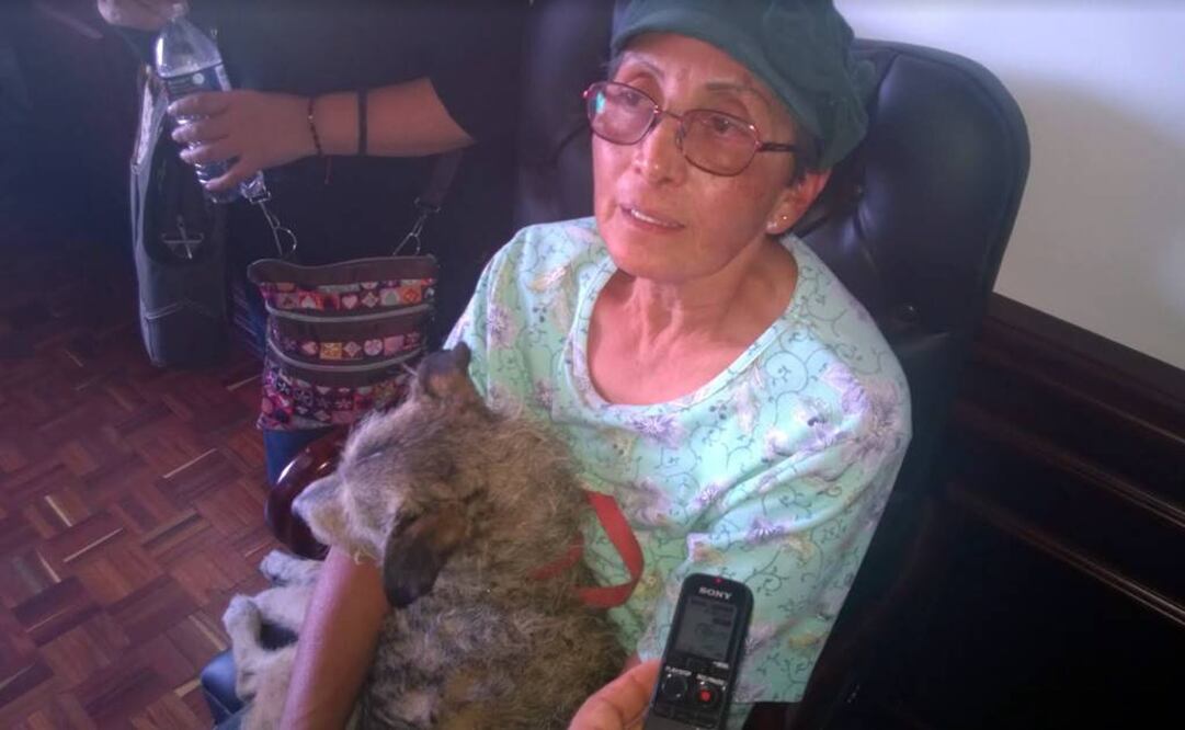 Juan Manuel Barrera / EL UNIVERSAL