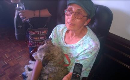 “Los animales no son desechables”, dice activista