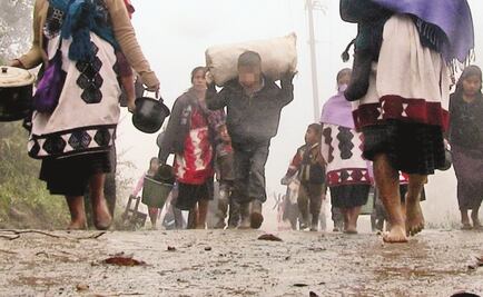 Piden a Cruz Roja apoyar en entrega de ayuda a indígenas tzeltales en Chiapas