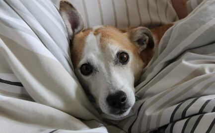 ¿A qué hora hará más frío hoy, lunes 17 de enero del 2021?