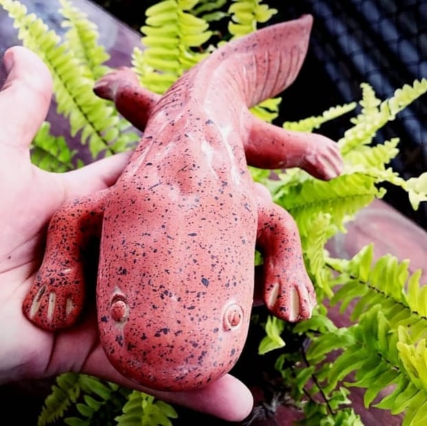 Celebra el Día Nacional del Ajolote en Axolotitlán