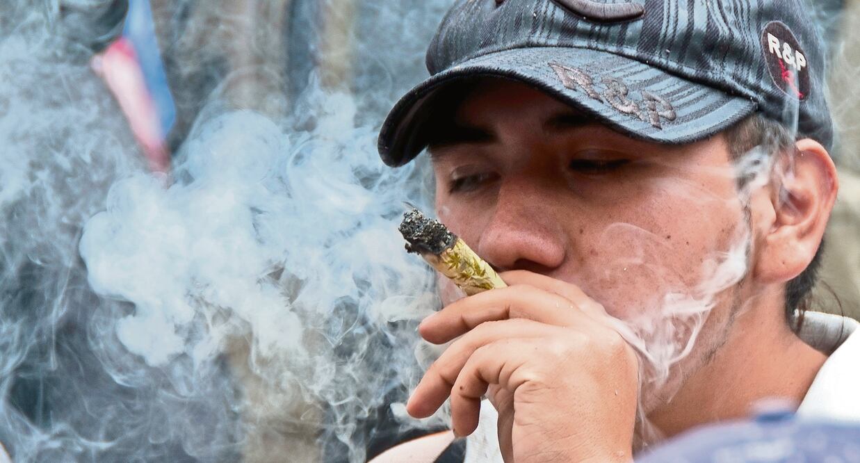 La Ciudad de México es la entidad del país con más permisos solicitados ante la Cofepris para el consumo recreativo de marihuana (ARCHIVO EL UNIVERSAL)