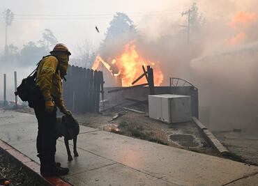 Incendio en Los Ángeles: veterinaria resguarda a 41 animales en su casa mientras sus dueños huyen del fuego; "puedo ayudar", afirma