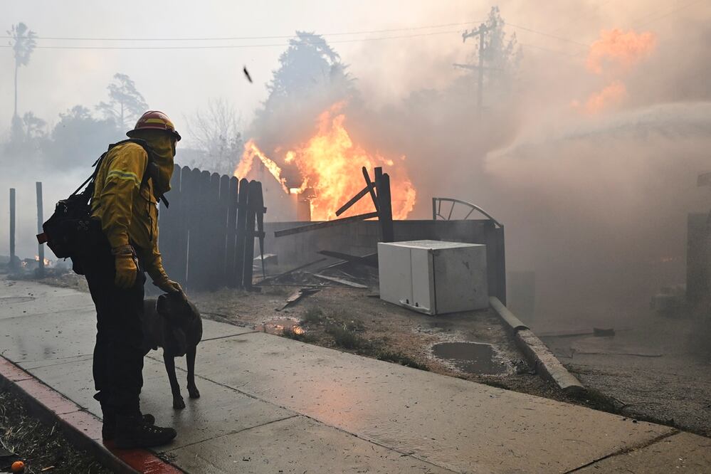 Un bombero acaricia a un perro mientras lucha contra el incendio Eaton, en Altadena, California. Foto: AP