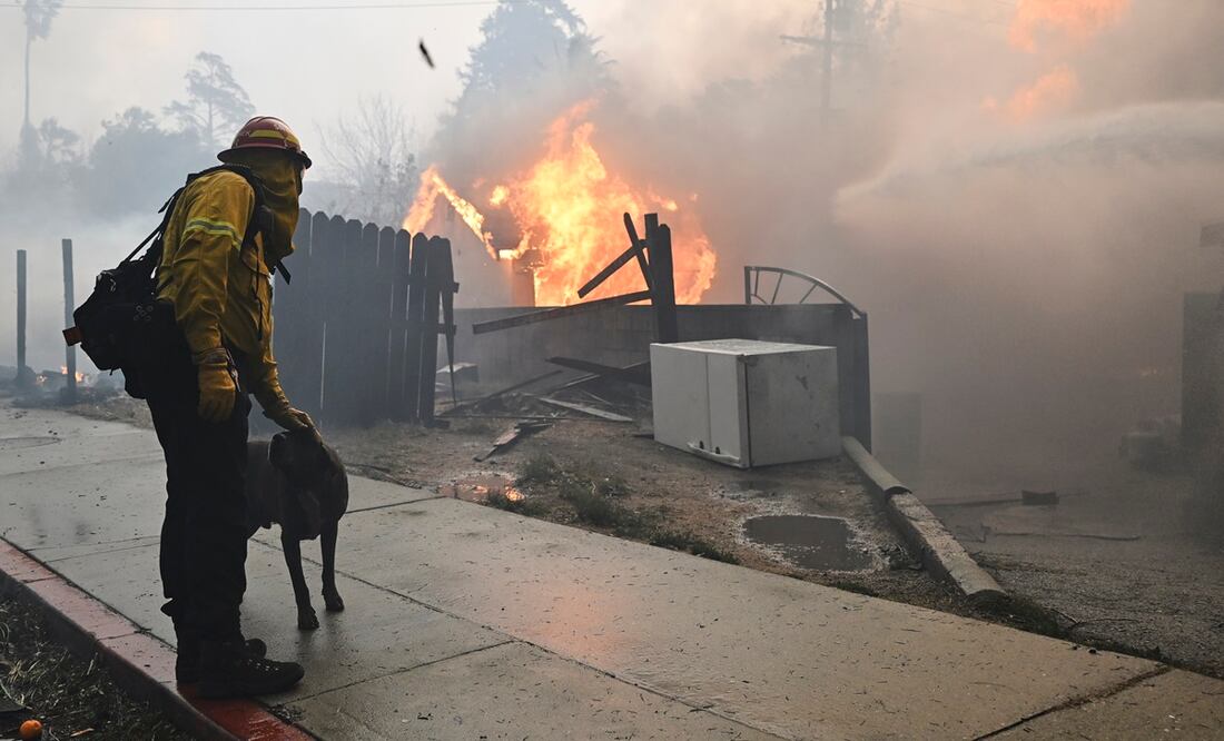 Un bombero acaricia a un perro mientras lucha contra el incendio Eaton, en Altadena, California. Foto: AP