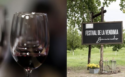 Con sus mejores etiquetas, Encinillas celebra su vendimia 2022