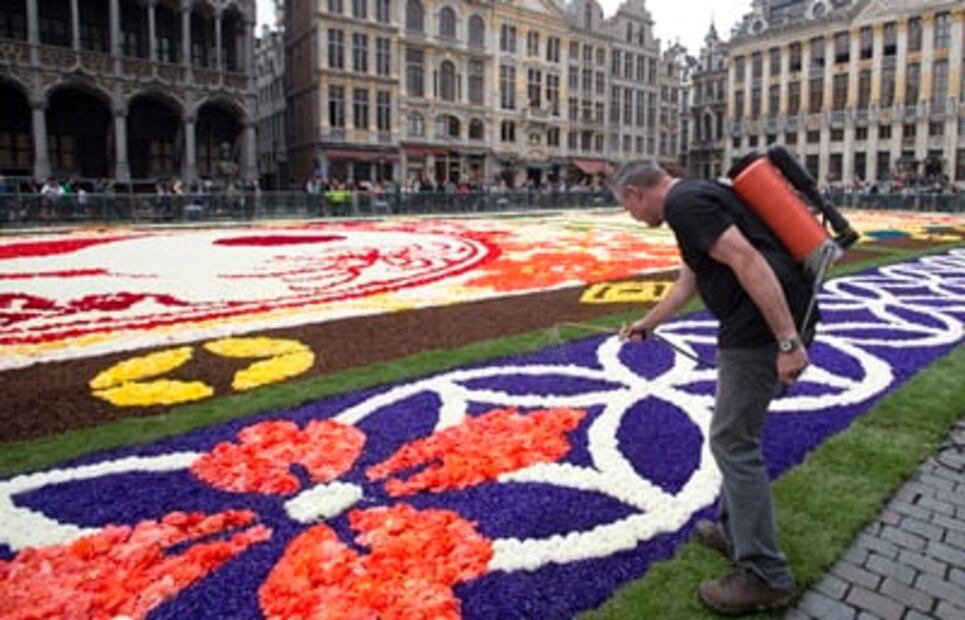 Alfombra de flores cubre la Grand-Place de Bruselas