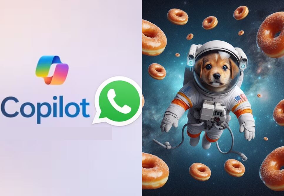 imagen: captura de pantalla